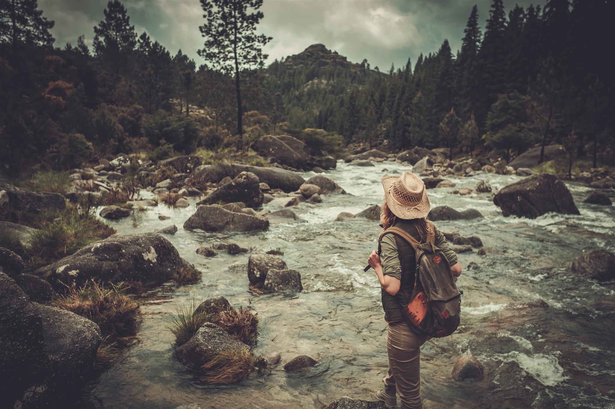 rewilding-experiences