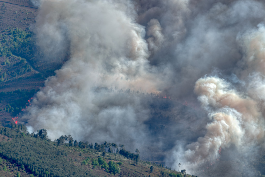 Flatulence, wildfires and bogs. The madness of measuring methane ...