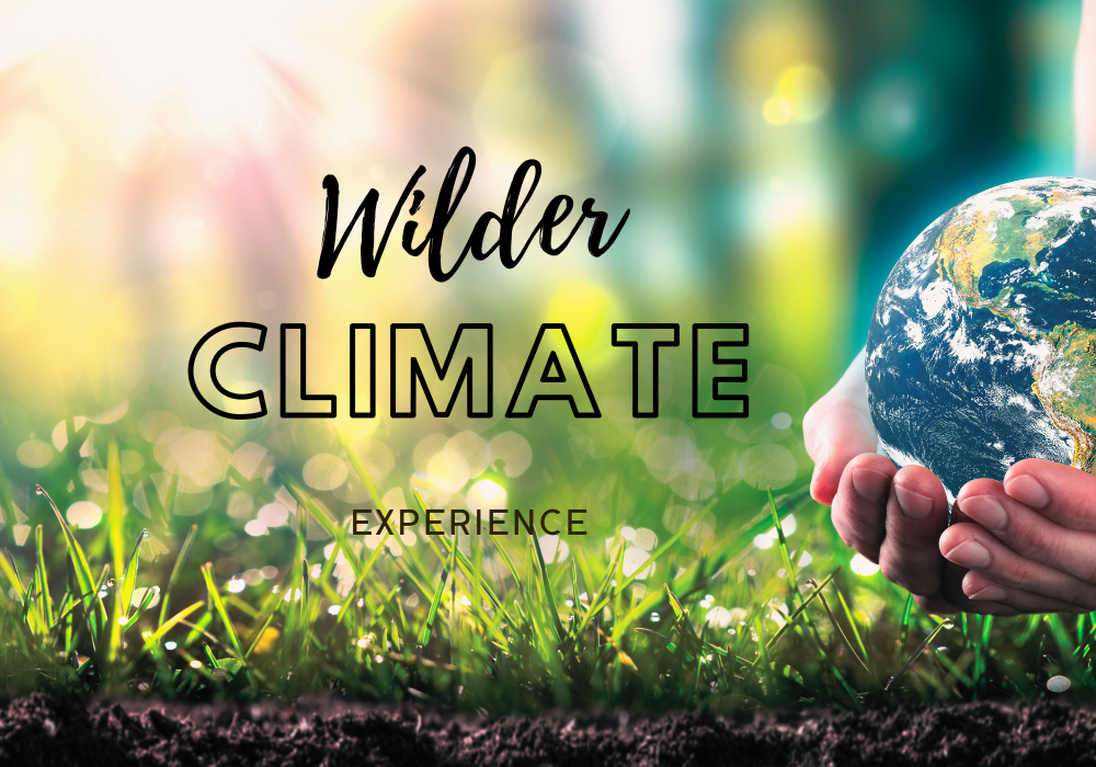 Wilder climate