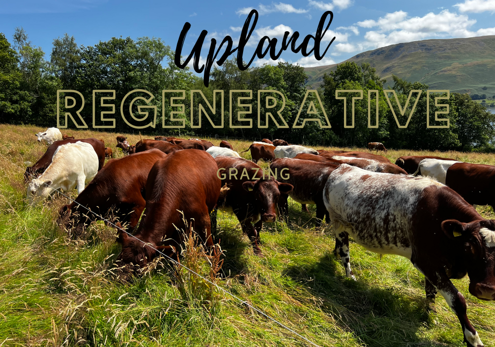 Regenerative Grazing