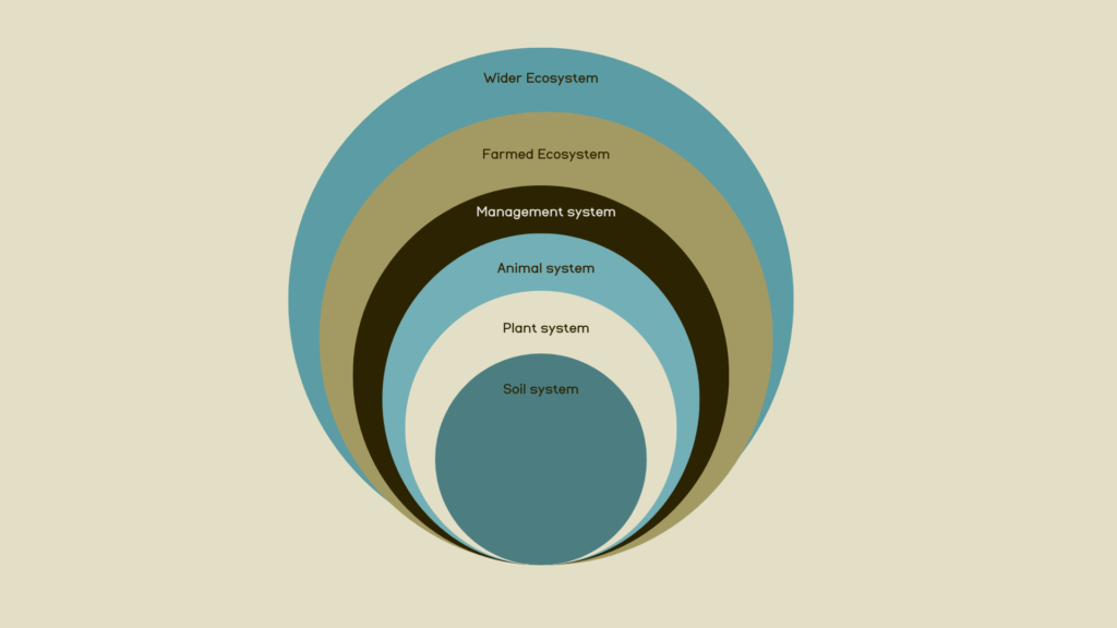 Regenerative transition for upland farms 