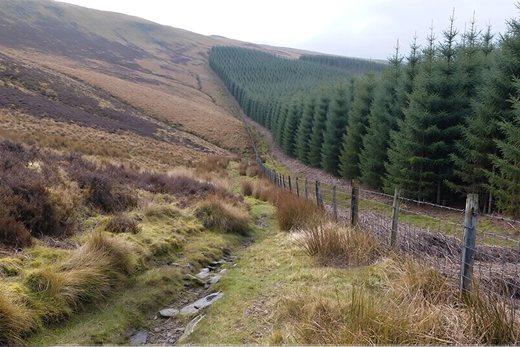 Beyond Partial Solutions