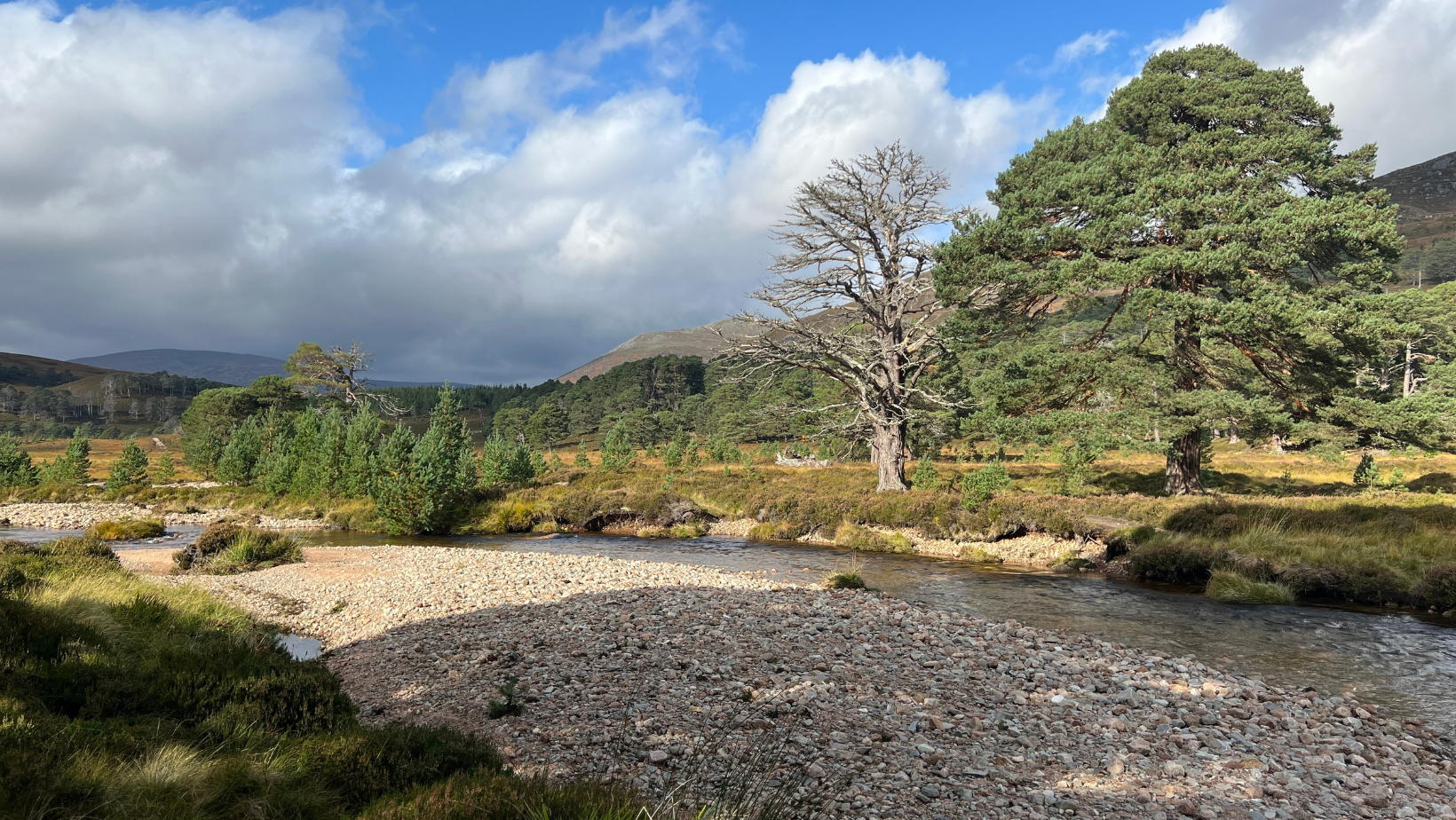 Regenerative farming project Cairngorms