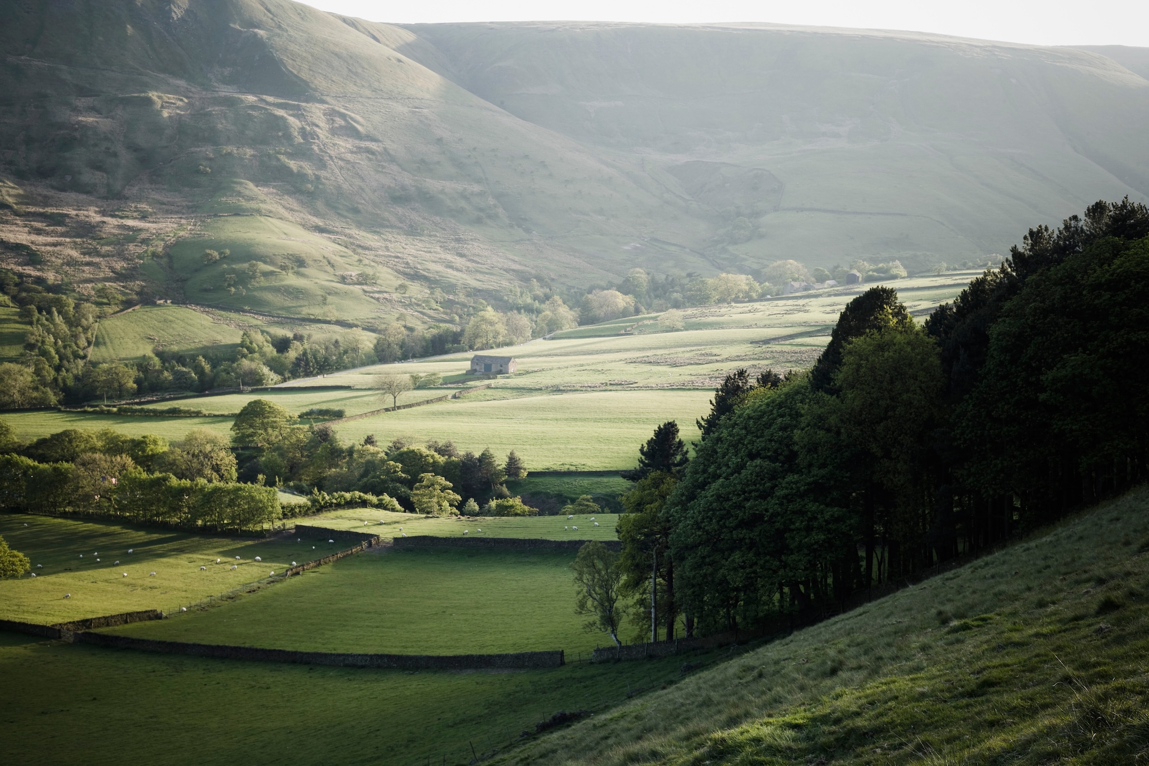 Wilderculture funding