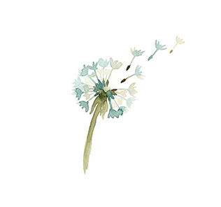 Watercolour dandelion seed head with seeds drifting away