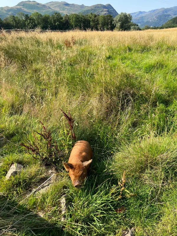 Wilderculture