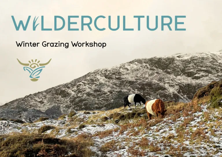 Winter Grazing Workshop