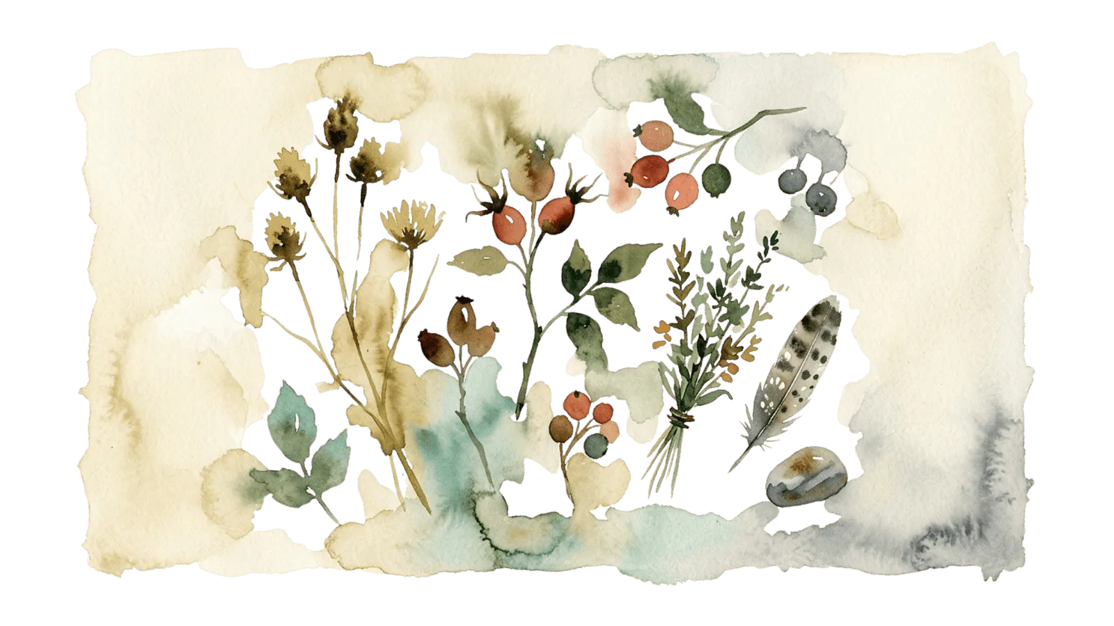 A pressed-specimen study of seedheads, rosehips, herbs, a feather and a pebble